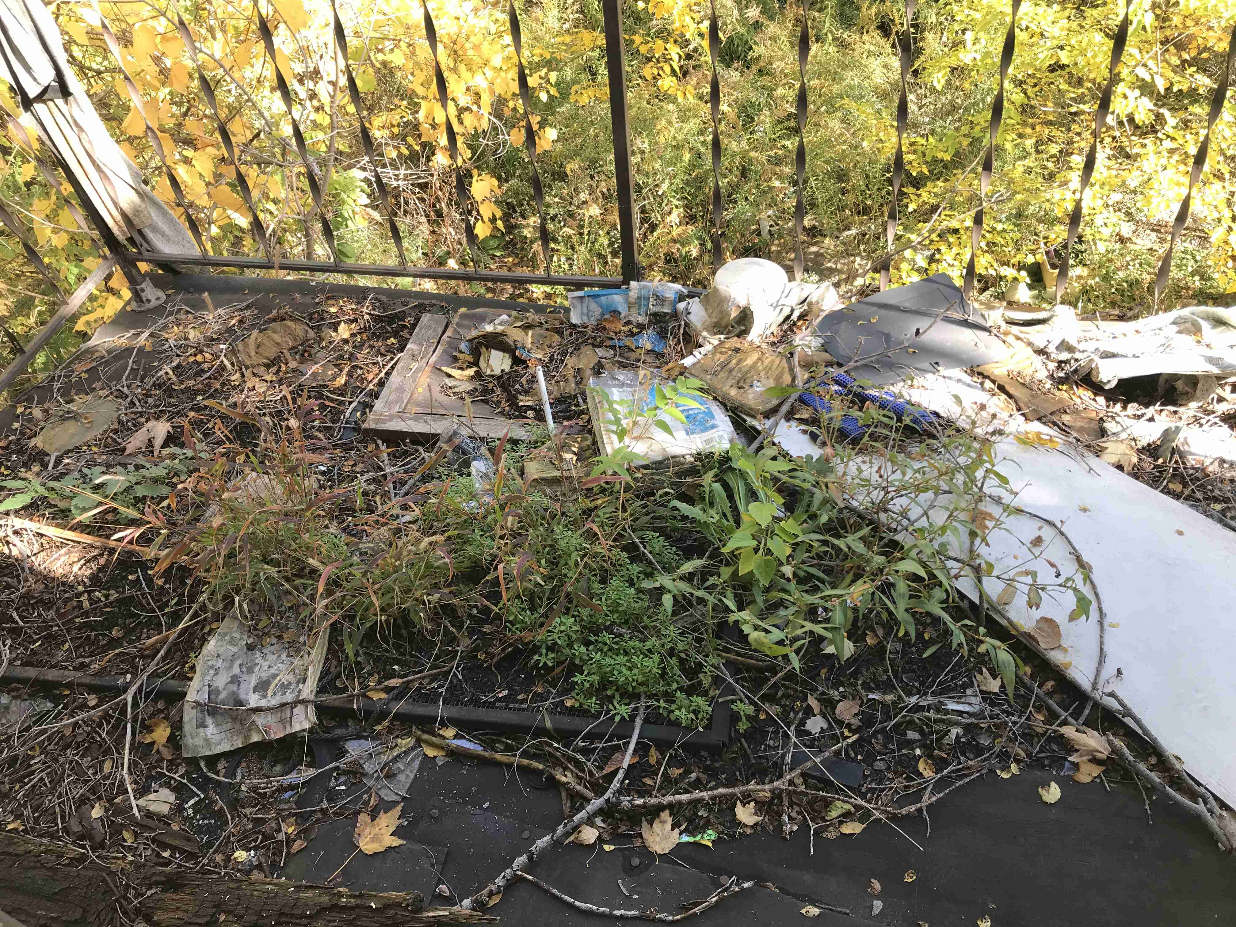 Photo Oct 13, 12 34 45 PM.jpg